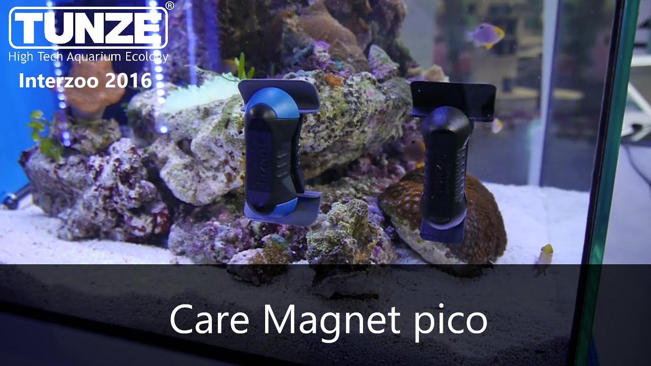 Care Magnet pico - Tunze