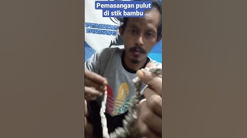 pemasangan pulut di stik bambu#shorts