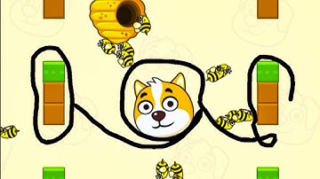 Save The Dog Speedrun Gameplay Level 282