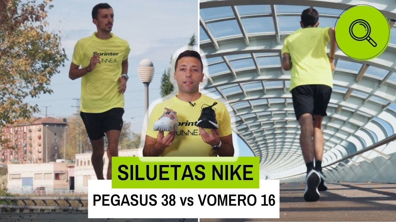 Diferencia entre pegasus y vomero | Actualizado septiembre 2022