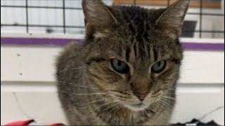 What makes you lucky?🍀