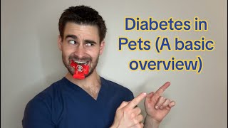 Diabetes in Pets (A Basic Overview) by Dr. Bozelka, ER Veterinarian 647 views 1 month ago 3 minutes, 2 seconds