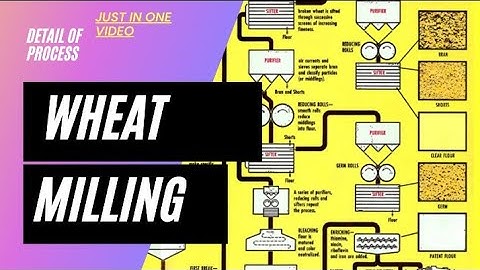 Wheat milling. How flour is milled. break roller reduction roller.Machinery used in wheat milling