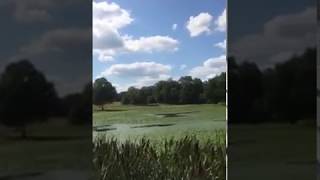 Goodwin Park in Hartford