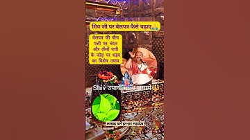 बेलपत्र पर चंदन,शहद का उपाय  | #pradeepmishra #shorts