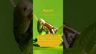 Learn CebuanoBisaya Fast! Apan Grasshopper
