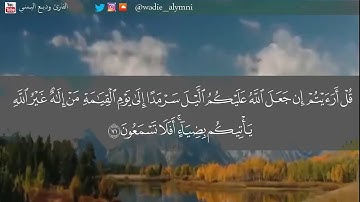 وديع اليمني - تلاوة هادئة بترتيل رائع لسورة القصص - ويوم يناديهم فيقول أَين شركائي الذين كنتم تزعمون