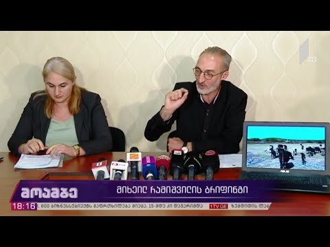მიხეილ რამიშვილის ბრიფინგი