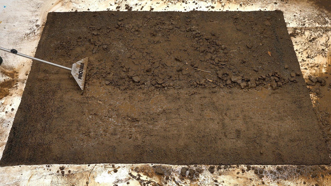 I Cleaned The World's DIRTIEST Rug Ever!