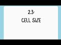 ✨AP Bio Topic 2.3 TikTok: Cell Size✨