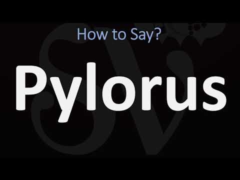 How to Pronounce Pylorus? (CORRECTLY)