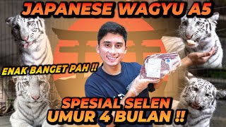SELEN MAKAN DAGING WAGYU A5 !! SELEN SAMPE BINGUNG KARENA RASANYA ENAK BANGET !!