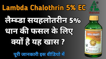 Lambda cyhalothrin 5% EC Insecticide | धान में पत्ता लपेट, तना छेदक, माहू, थ्रिप्स, सफ़ेद मक्खी कीट