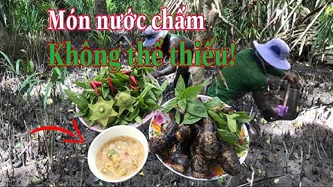 Thợ săn xuống rừng/ săn cá thòi lòi/ Đoàn 39 Vlog