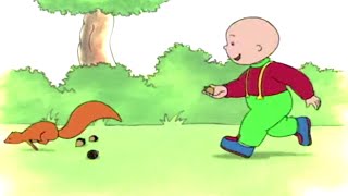 Caillou Magyar | Caillou és a Mókus | Caillou Rajzfilmek Magyarul | Rajzfilmek gyerekeknek Caillou Magyar | Caillou és a Mókus | Caillou Rajzfilmek Magyarul | Rajzfilmek gyerekeknek