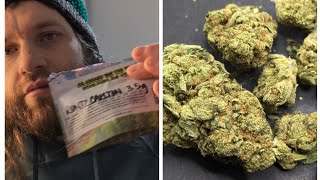 Runtz Carlton Thca Small Buds Indoor Flower -Gas With Hint Of Tropics - Hemp Online