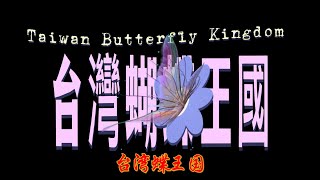 台灣蝴蝶王國｜台湾蝶王国｜Taiwan Butterfly Kingdom 