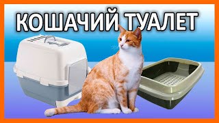 Кошачий туалет, как выбрать лучший - мой опыт подбора оптимального лотка для домашнего питомца