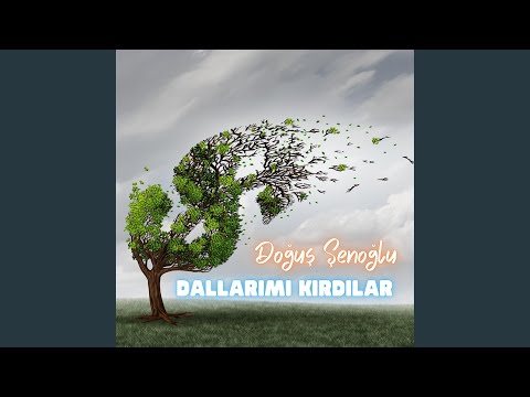 Dallarımı Kırdılar