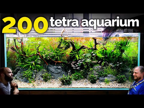 The Tetra Jungle Aquarium: EPIC 4ft 200 Fish Tank (Aquascape Tutorial)