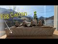 How to DIY a windowsill planter with an egg carton