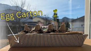 How To Diy A Windowsill Planter With An Egg Carton