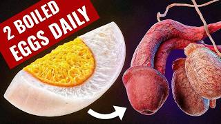 What Happens When You Eat 2 Boiled Eggs Every Day