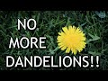Easily remove dandelions from your lawn for good