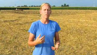 Soybean College Set for August 1-2 in Coldwater, Mich.