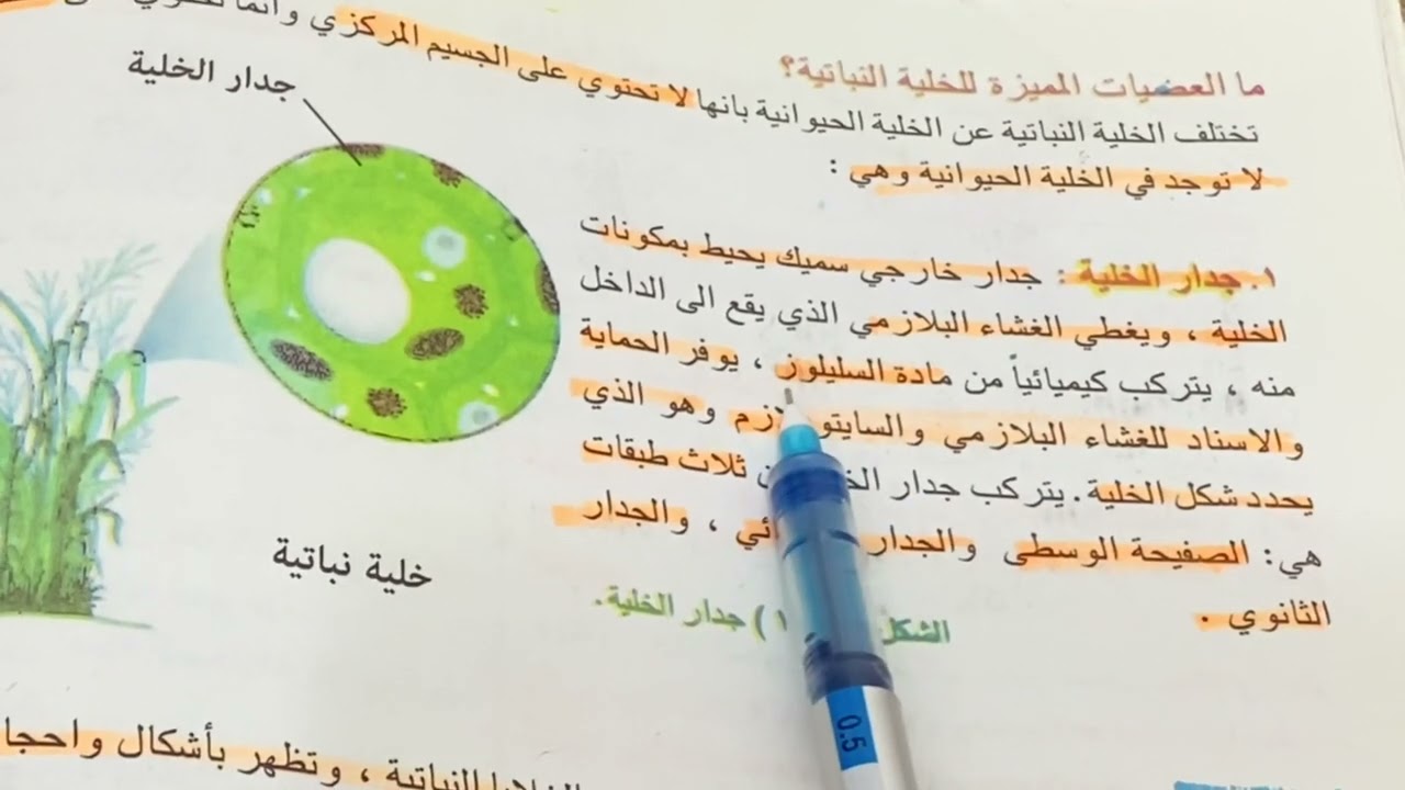 علوم احياء اول متوسط الخلية الحيوانية والخلية النباتية شرح مع ملخص  ص ٣٧ ، ست مريم