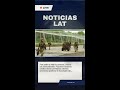 Drones en Ucrania: La Zona de Muerte 🇺🇦 #shorts