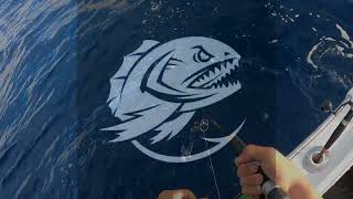 JIGGING Tenerife 🎣‼️acabamos el año con chispas⚡️💥