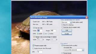 How to resize an image in IrfanView