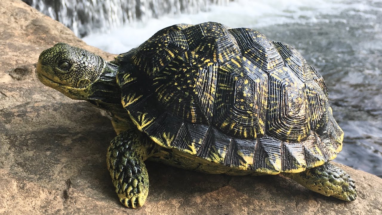 European Pond Tortoise Painting Concrete Statues YouTube