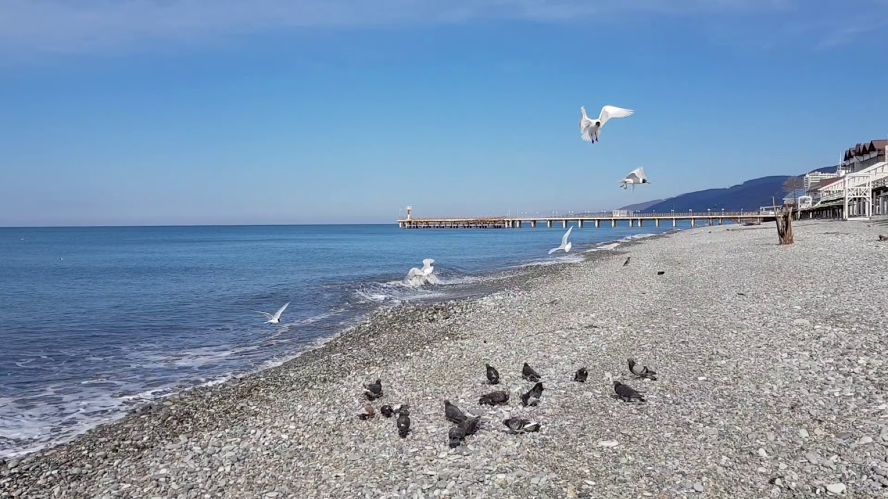 Погода в лазаревском в июле. Лазаревка море черное. Лазаревка море Лазаревка. Черное море Лазаревское зимой. Море зимой Лазаревское 2021.