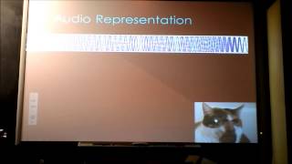 Indie Lab - Beautiful Wave Pendulum with all Bobs at Same Level