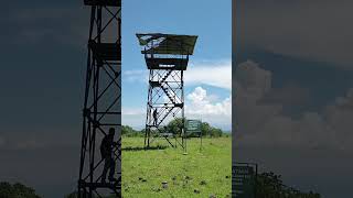 Taman Nasional Baluran - Home For Endangered Species #satwalangka  #baluran #shorts