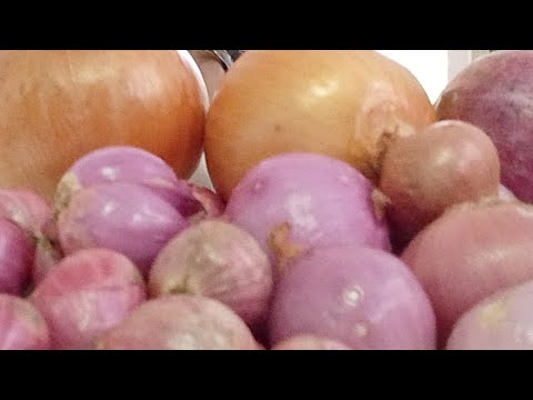 วีดีโอ: การปอกหัวหอม: วิธีป้องกันหัวหอมจากการโบลต์