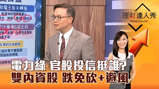 【理財達人秀】電力綠 官股投信挺誰？雙內資股 跌免砍+避風｜李兆華、陳唯泰 2024.07.29 part2