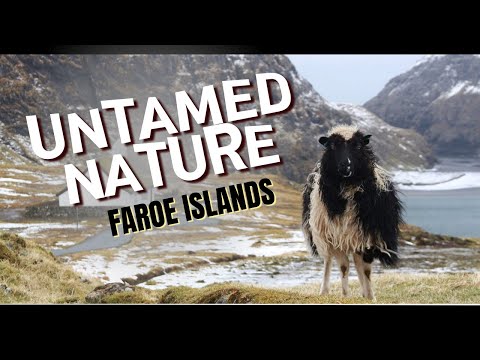 Faroe Islands | Where Nature Meets Norse Legend | Travel Video