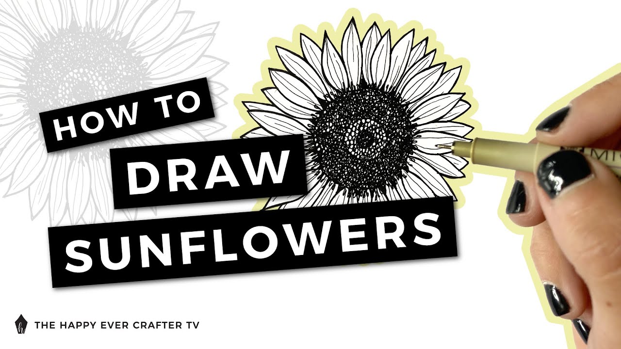 How to Draw a Sunflower (in 10 Easy Steps) - FeltMagnet