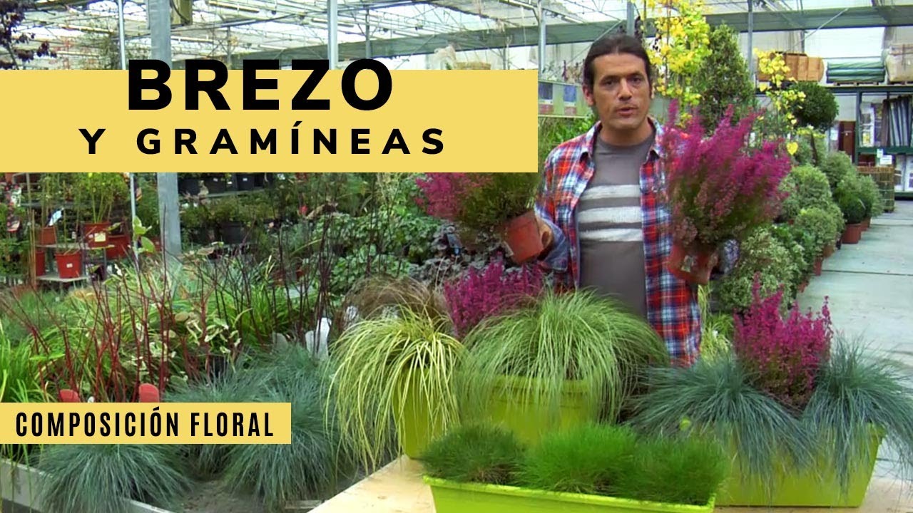 Composiciones florales con brezo y gramíneas - Decogarden - Jardinatis