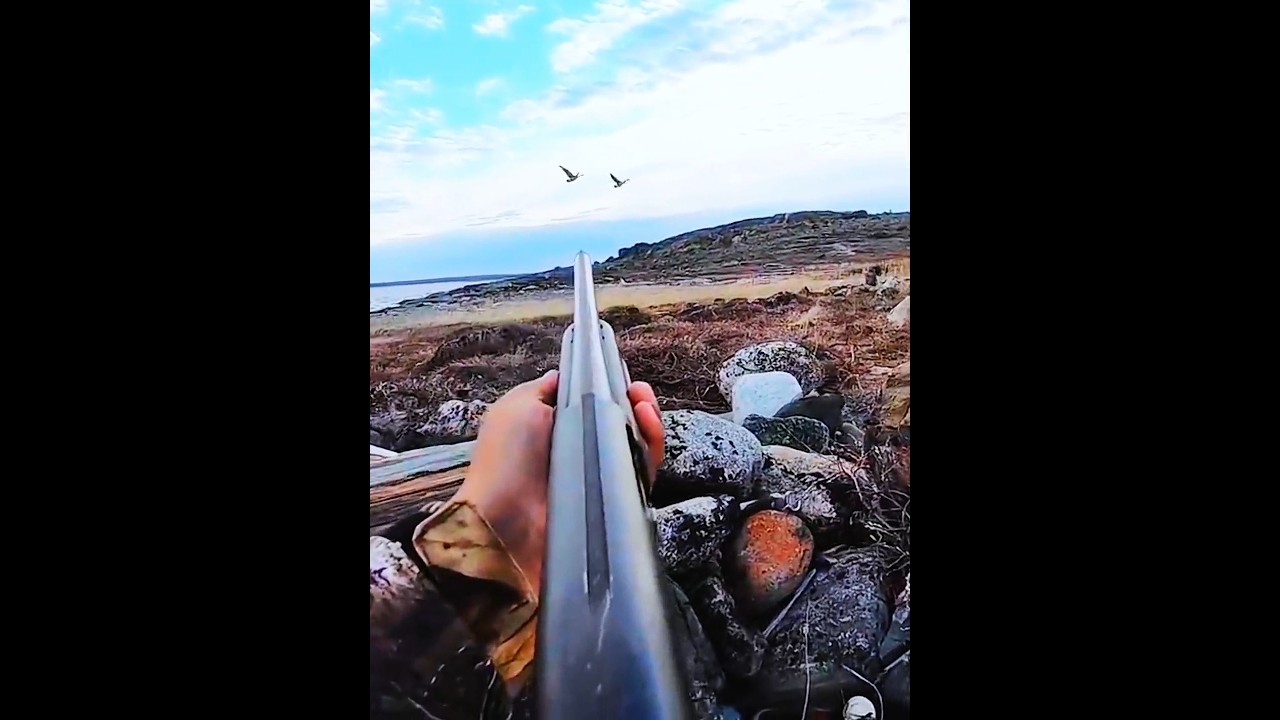 Мастерский контроль выстрела 