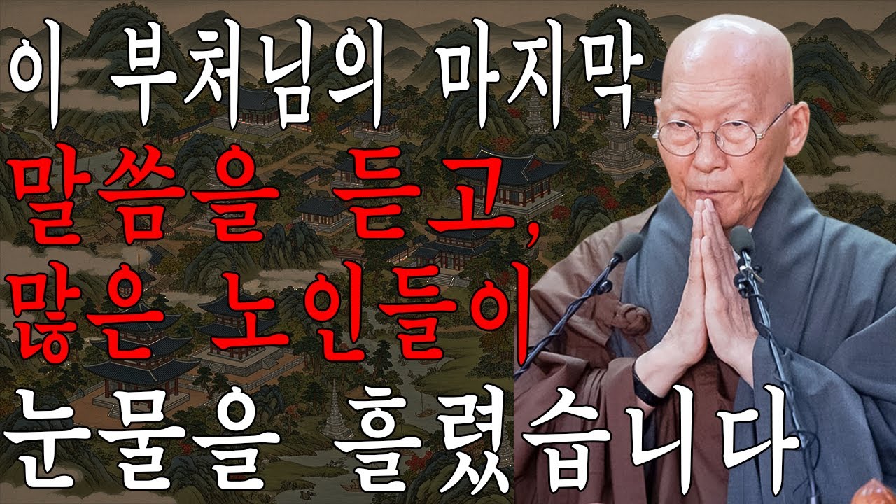 이 부처님의 마지막 말씀을 듣고, 많은 노인들이 눈물을 흘렸습니다｜법정 스님 지혜 ｜ 불교 ㅣ부처님 말씀ㅣ불교 명상｜부처님