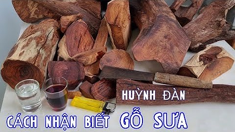 Hướng Dẫn Nhận Biết Gỗ Sưa Đỏ - Gỗ Huỳnh Đàn Huê - Đặc Điểm Của Gỗ Sưa Màu Sắc Và Vân Gỗ Cây Sưa