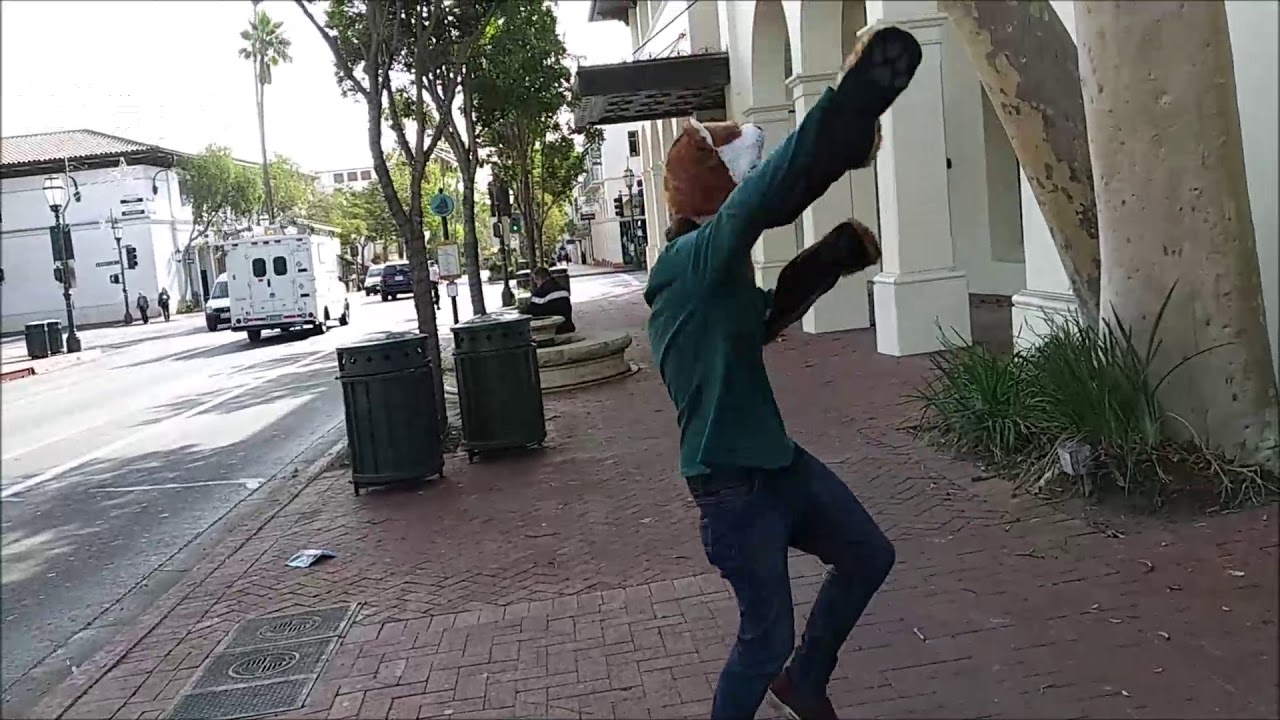 What Does The Fox Say? - MC Nulty dancing