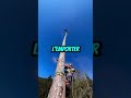 Élagage spectaculaire quand l’hélicoptère soulève l’arbre coupé #bucheron  #hauteur #spectaculaire Mp3 Song