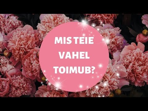 Video: Mis vahe on kaubamärgi ja autoriõiguste vahel?