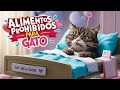 Alimentos prohibidos para gatos