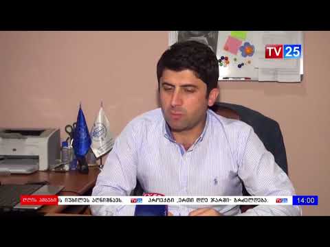 საიას არჩელზე სასამართლო დღეს იმსჯელებს